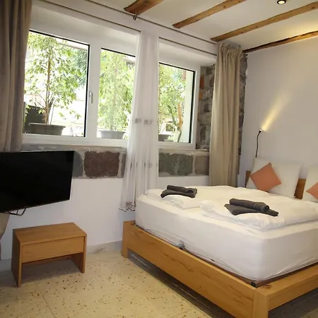Gardar Fox Bozen